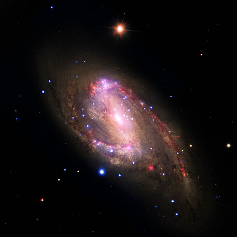 A Month in Space:  the spiral galaxy NGC 3627 located about 30 million light years from Earth