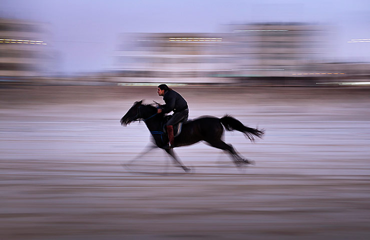 24 hours: Horse at Sunset
