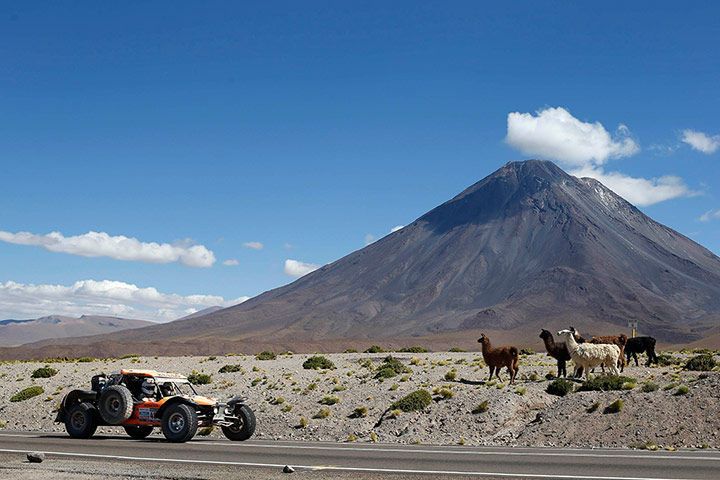 Dakar 2013: Chile's Saenz and Valdes drive their Predator 
