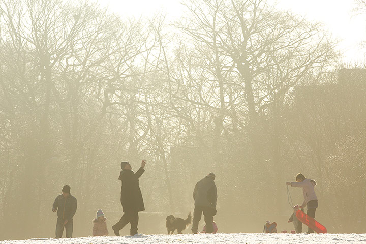 Snow over UK: Dog walkers and sledges playing in the snow in Heaton Park, Mancheste