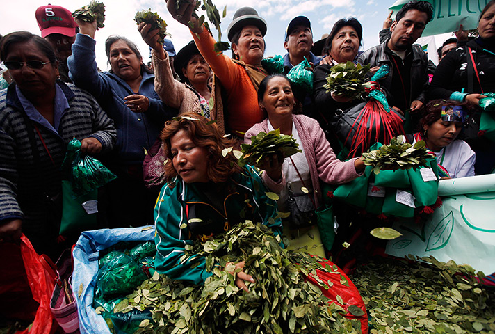 24 hours: La Paz, Bolivia: Coca leaf producers toss coca leaves being given away
