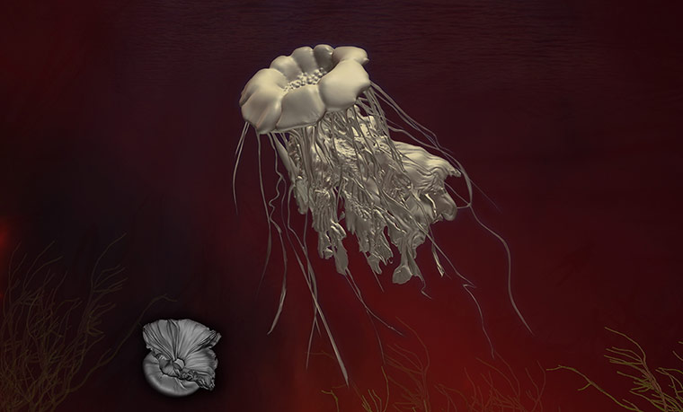 Exhibitionist1901: Transformism: Melanie Jackson & Revital Cohen