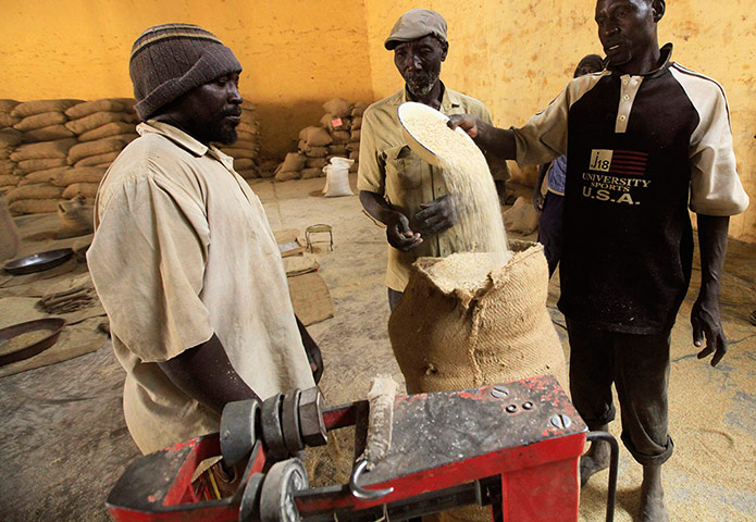 Sudan gum arabic: Workers prepare gum arabic for export at a firm in El-Obeid town
