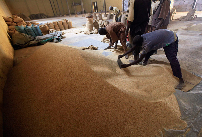 Sudan gum arabic: Workers prepare gum arabic for export at a firm in El-Obeid