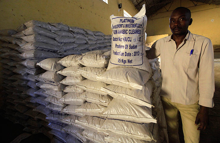 Sudan gum arabic: A worker stands next to sacks of gum arabic for export at firm in El-Obeid