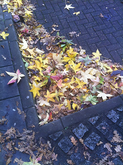 Your Pictures: Pastels: Old Foundry Street, Ipswich: a splash of colour on a grey November walk