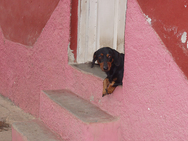 Your Pictures: Pastels: Trinidad, Cuba, where houses are painted in tropical pastel colours