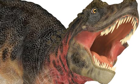 Illustration of a Tarbosaurus (dinosaur species) isolated on a white background