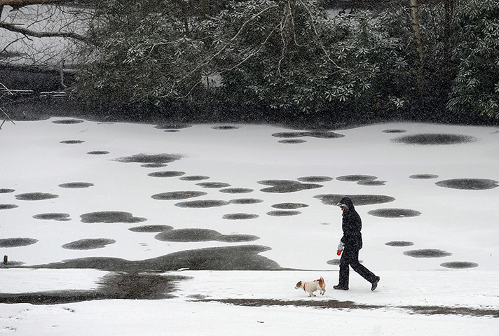 uk weather: A woman walks her dog  as snow falls in Bramhall Park in Stockport 