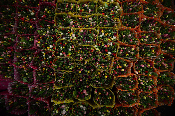 24 Hours: Bouquets of flowers at the opening of the Green Week agricultural fair in Berlin, Germany