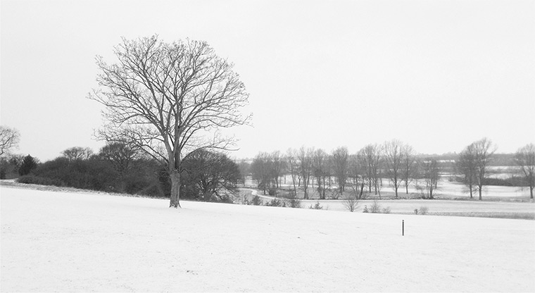 readers snow pix: Up on the hill