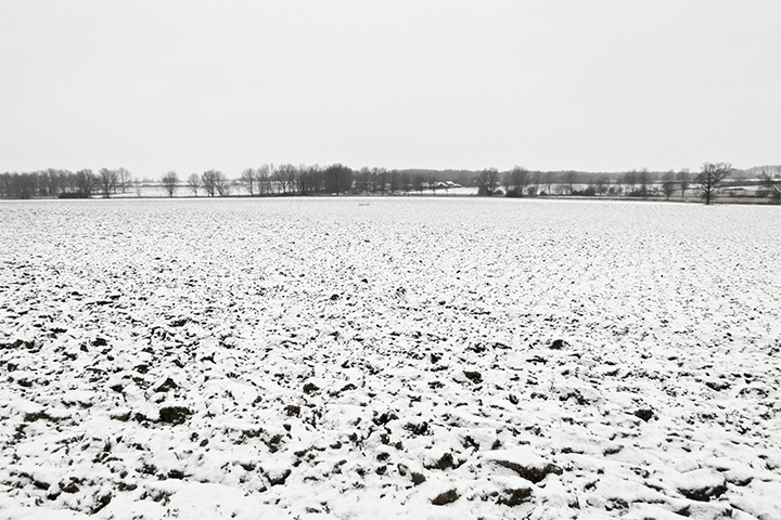 readers snow pix: Field