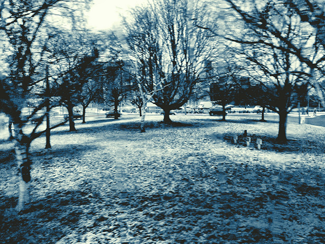 readers snow pix: On A Cold and Frosty Morning