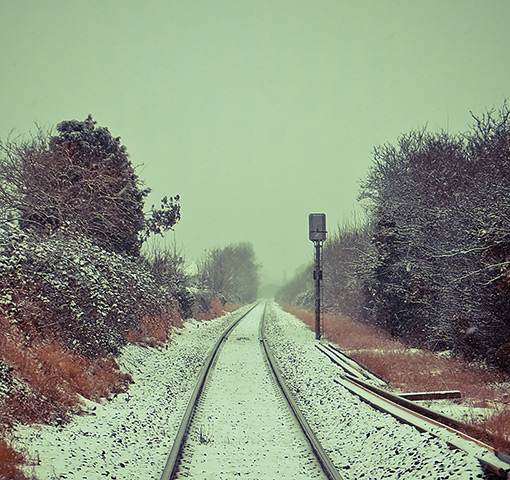 readers snow pix: Snow Tracks