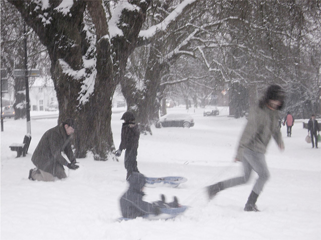 readers snow pix: modern day Brueghel