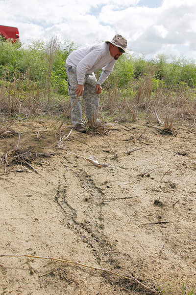 2013 Python Challenge : Permit holding hunter Irwin near Homestead