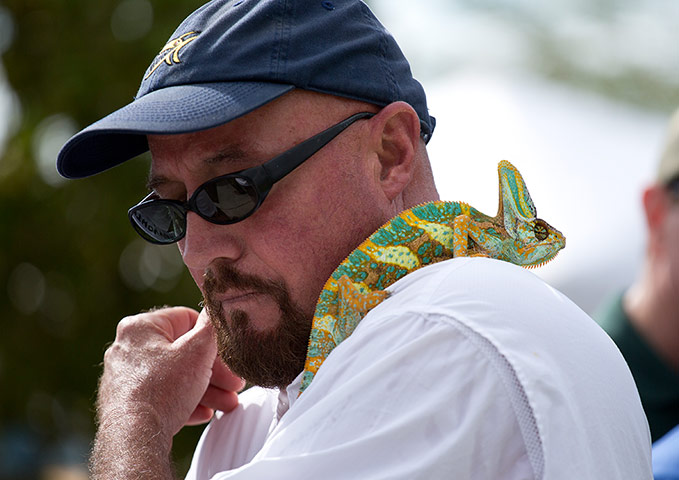 2013 Python Challenge : Rodney Irwin