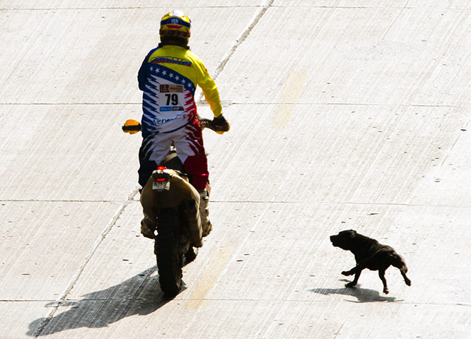 Dakar Rally: Venezuelan Gustavo Querales, of Yamaha,