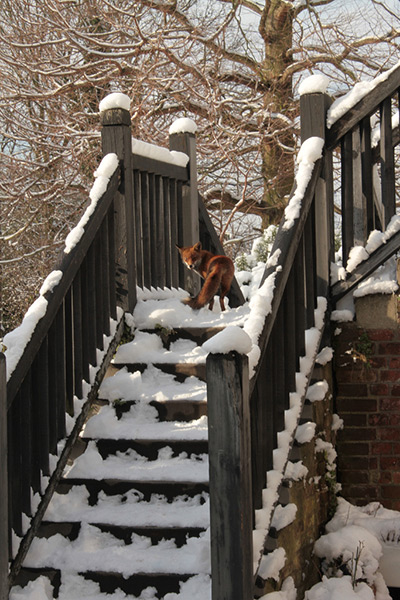 Readers' snow pictures: Untitled