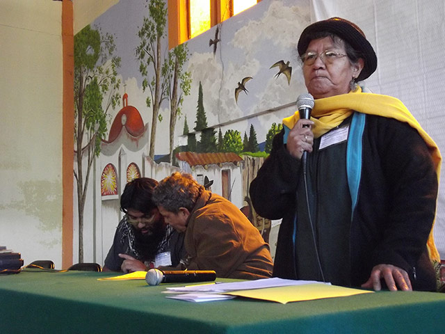 Mexico: opponents of Fortuna Silver’s Cuzcátlan mine