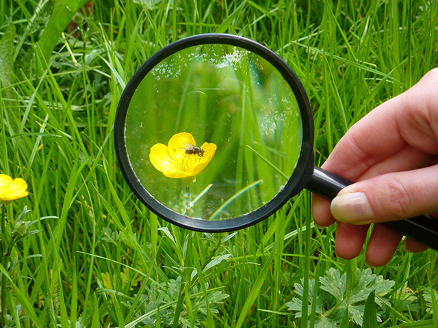 OPAL: Open Air Laboratory : the largest citizen science project in the UK