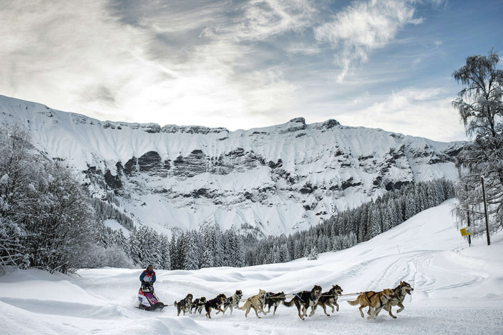 La Grande Odyssee