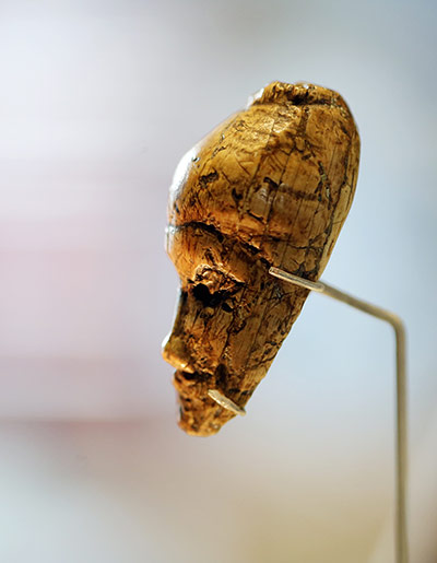 Ice Age Art: The Arrival of the Modern Mind exhibition at British Museum