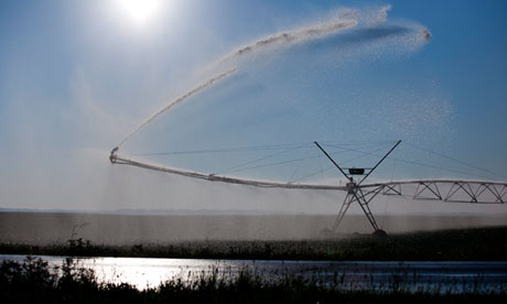 irrigation