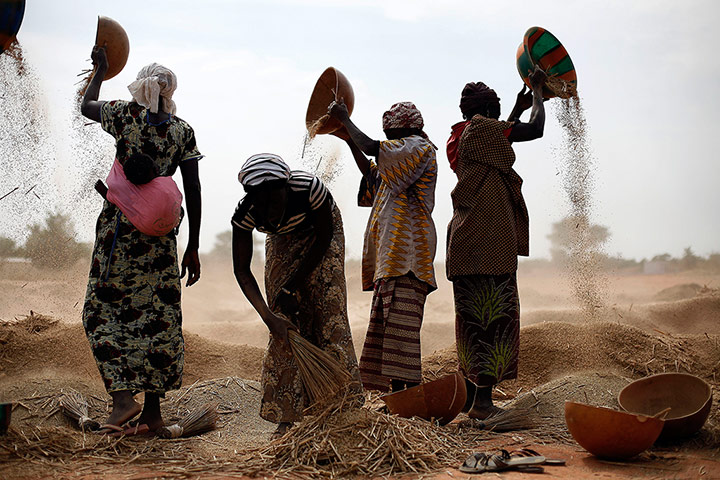 20 Photos: Malian women sift wheat in a field near Segou, central Mali