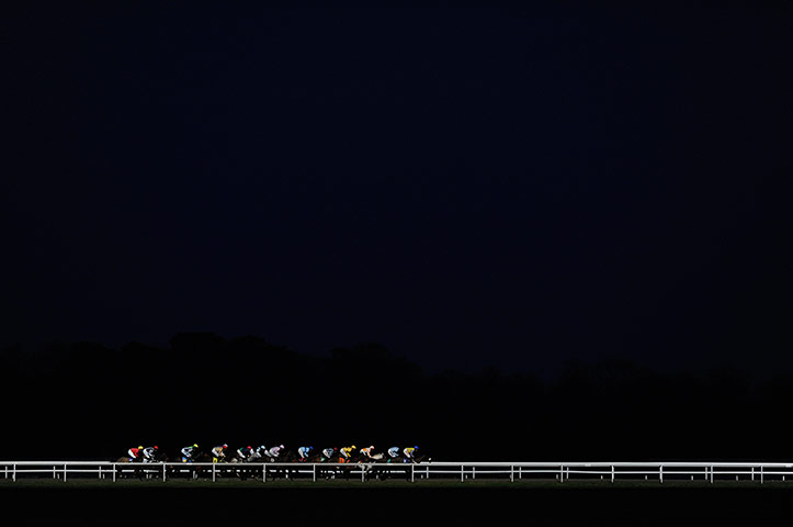 20 Photos: the runners make their way down the back straight at Kempton racecourse