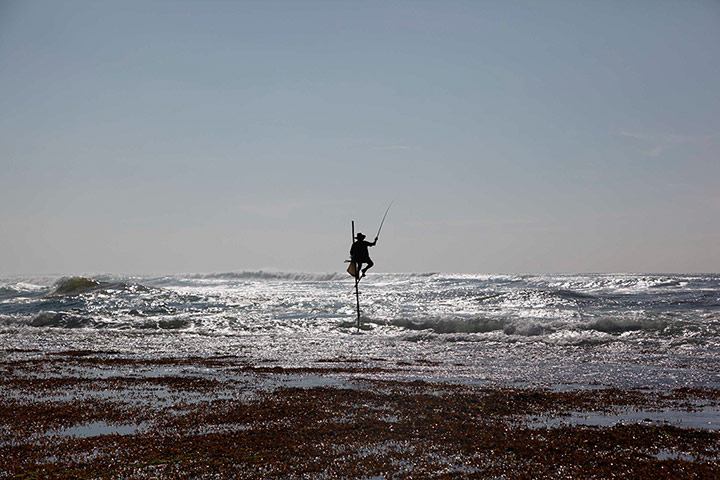 20 Photos: A fisherman sat on a traditional stilt in Sri Lanka