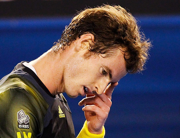 tennis4: Andy Murray