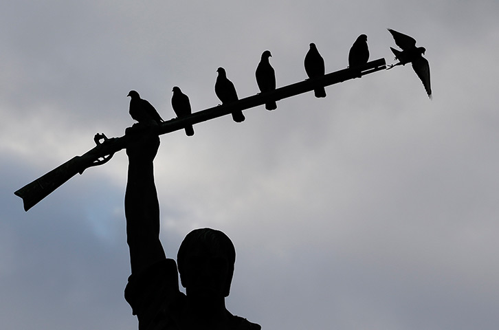 24 hours: Birds roost on the rifle of a statue of Benjamin Milam at dusk 