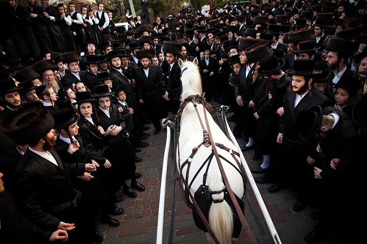 24 hours: Netanya, Israel: Ultra-Orthodox Jews at a traditional Jewish wedding