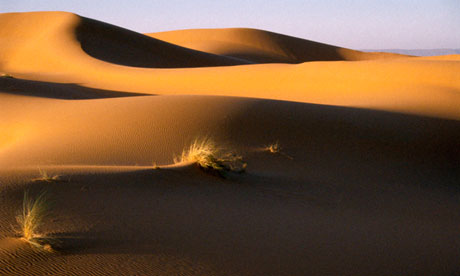 Desert dunes
