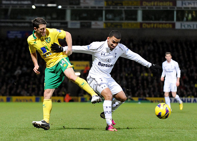 Norwich: Norwich City's Wes Hoolahan 