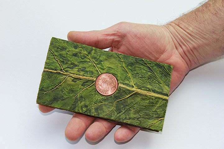 Exhibitionist0202: Piero Gilardi, John Newling