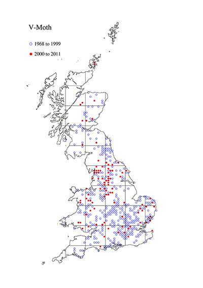 Moth survey in UK: Moth distribution