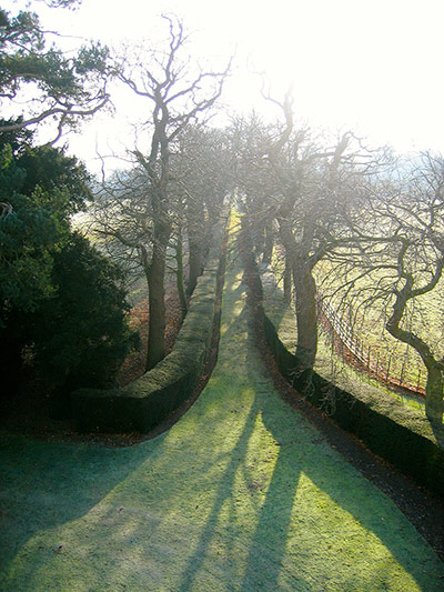 Your Pictures: Drive: A drive lined with walnut trees in Belmont Park, New York