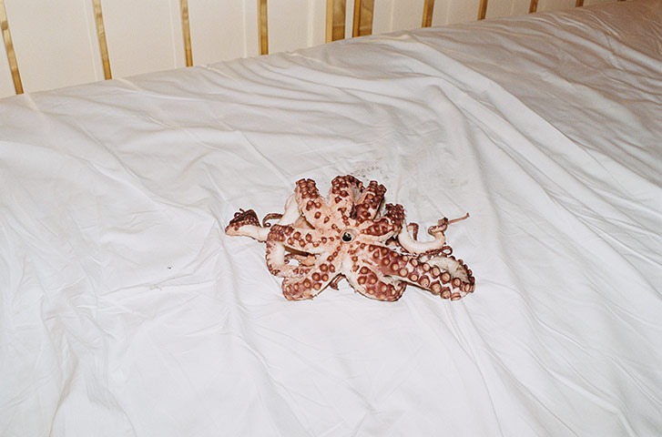 Juergen Teller: Octopussy, Rome, 2008