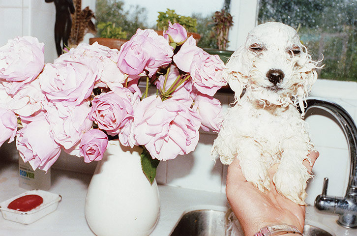 Juergen Teller: Pettitoe, Suffolk, 2011