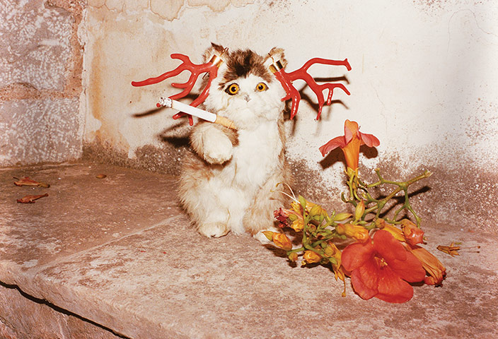 Juergen Teller: Cat smoking