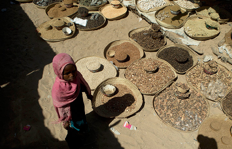 Chad Stunted Nation: Food market