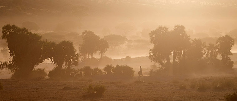 Chad Stunted Nation: a woman walks toward a well through clouds of dust