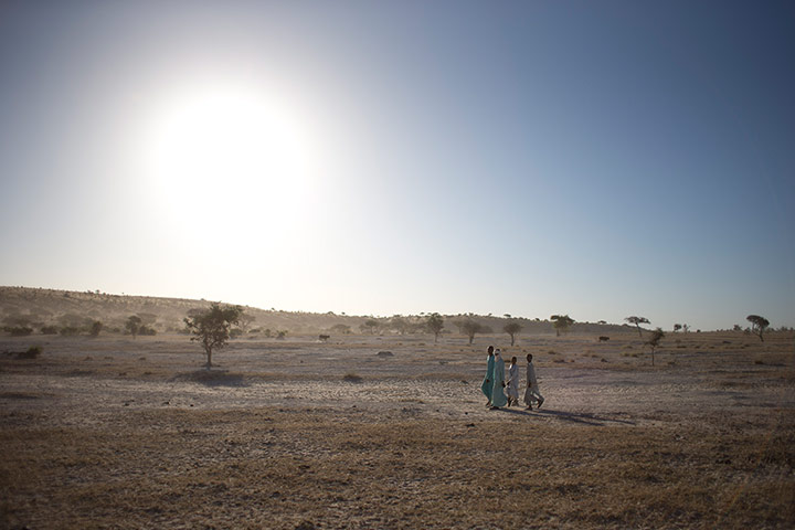 Chad Stunted Nation:  young men walk in the wadi alongside Louri village