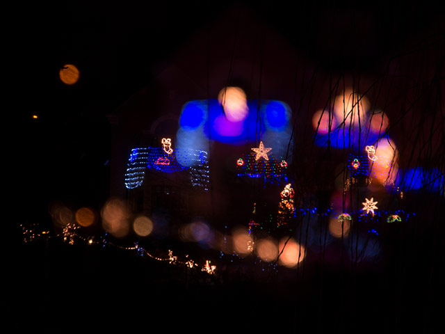 Guardian Camera Club: Pat Gregory participates in the depth of field assignment