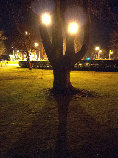 Guardian Camera Club: Pat Gregory participates in the depth of field assignment