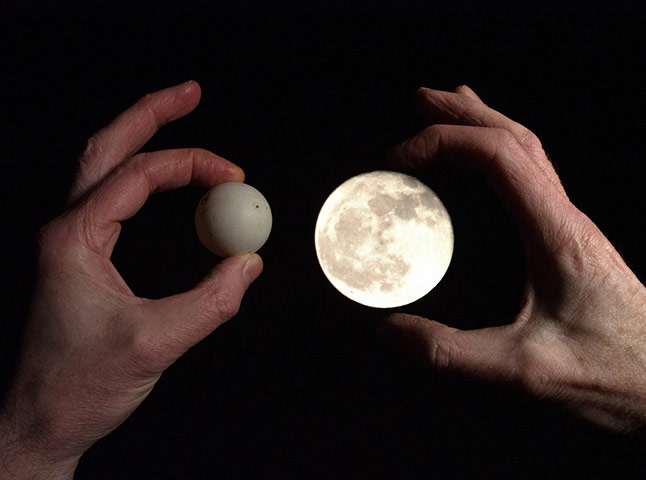 Guardian Camera Club: Pat Gregory participates in the depth of field assignment