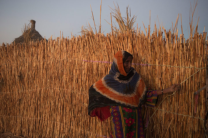 Chad Stunted Nation:  a village in the Mao region