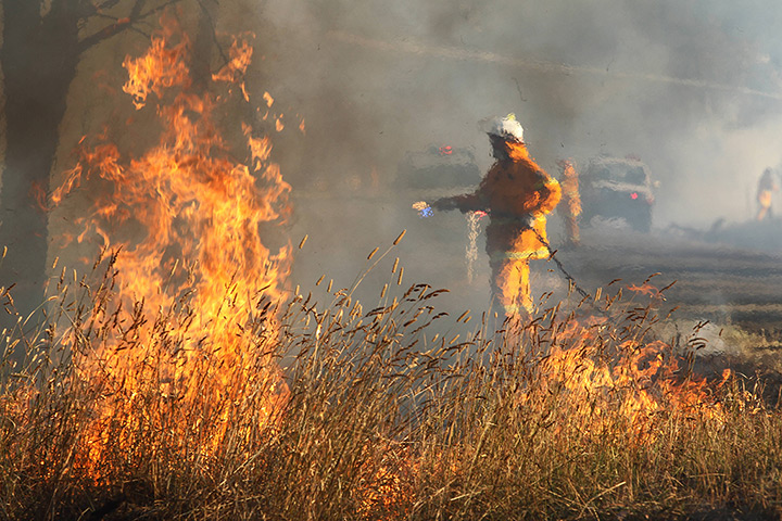 Australia heatwave: Rural Fire Service firefighters tackle a grass fire